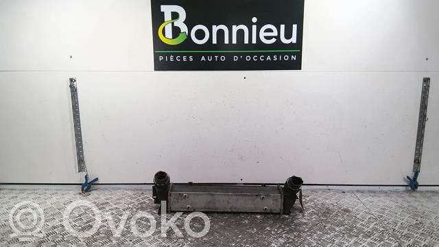 Intercooler radiator   17517524916