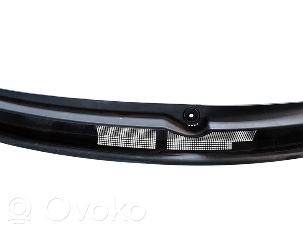 Chrysler Pacifica Wiper trim 