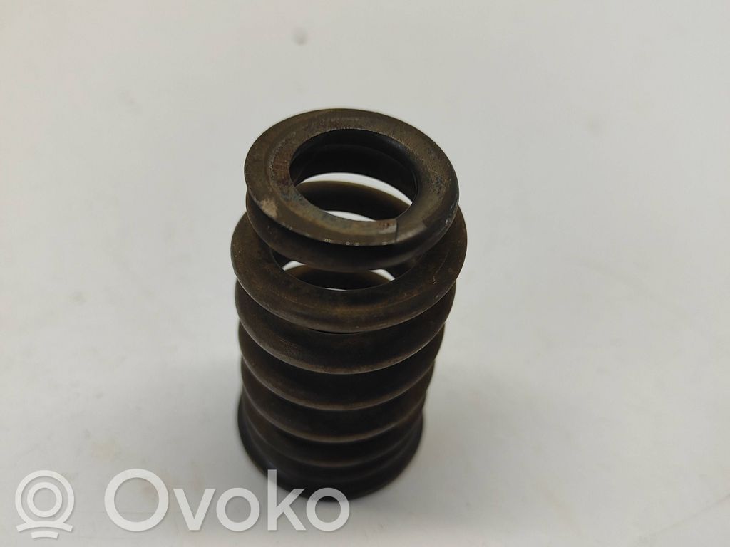 Valve spring   68080909AB,68080909AA
