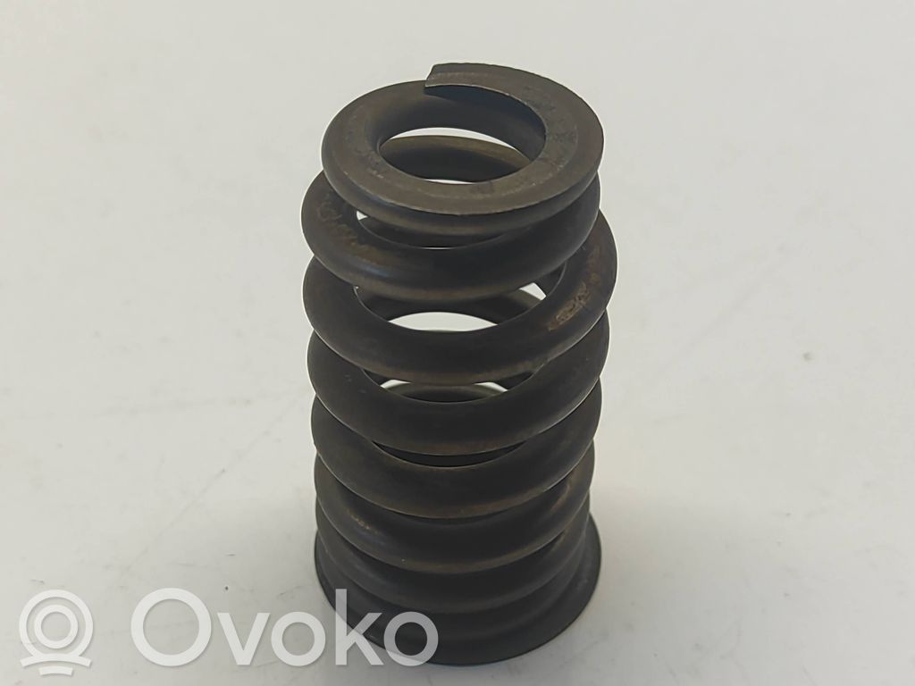 Dodge RAM Valve spring 