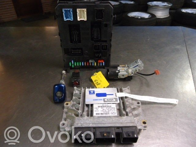Peugeot 407 Injection control unit/module 