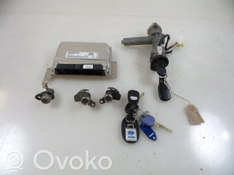 Hyundai Santa Fe Injection control unit/module 