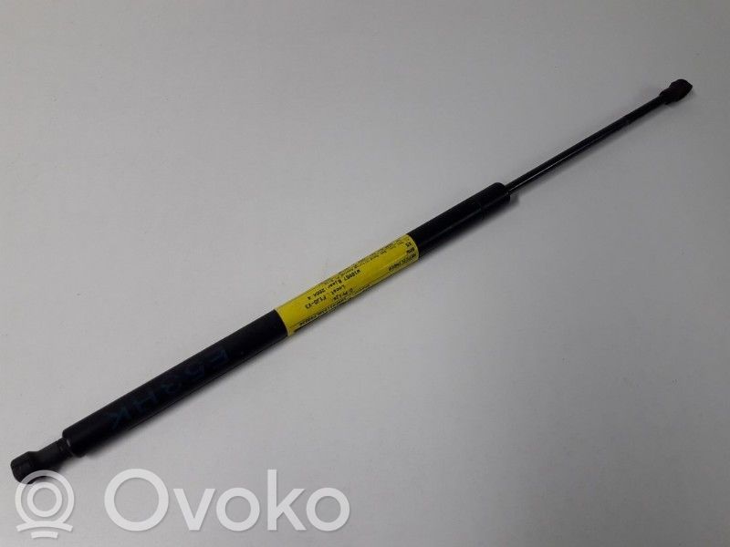 Tailgate/trunk strut/damper