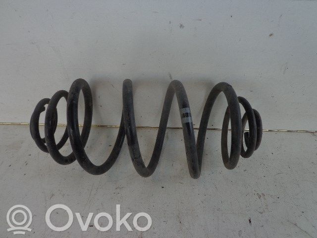 Rear coil spring
