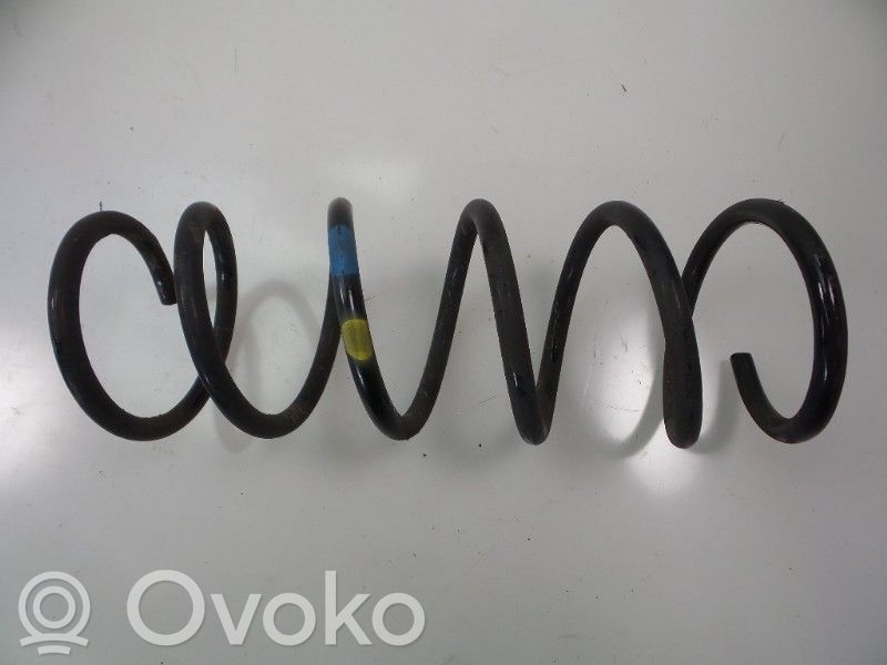 Rear coil spring