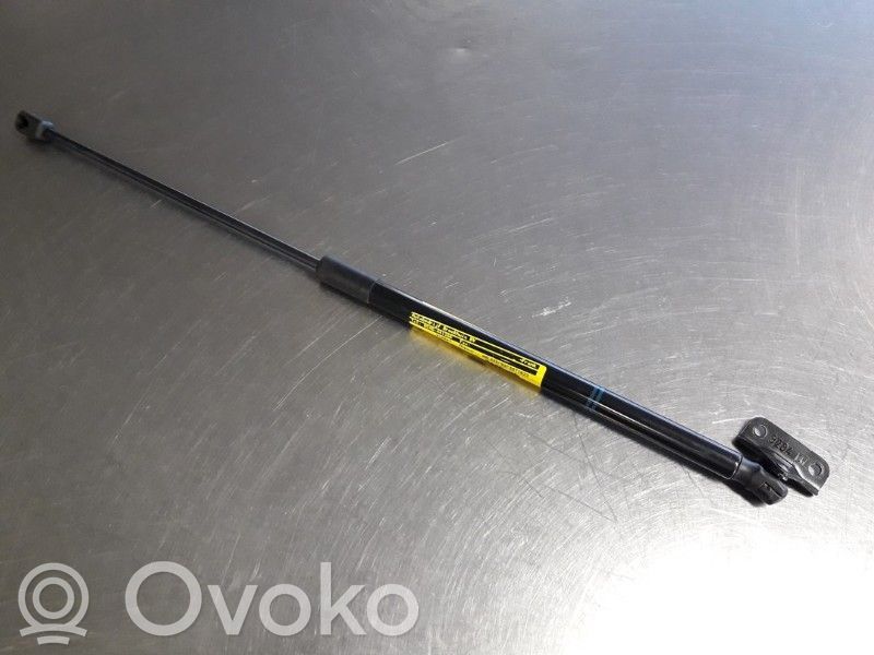 Tailgate/trunk strut/damper   315005777,13428038,13428038,315005777
