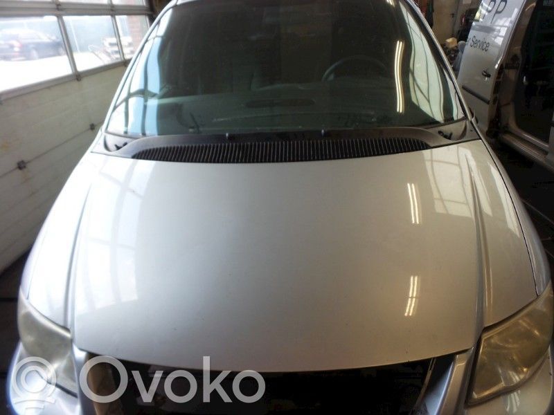 Motorhaube