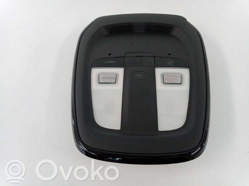 Polestar 2 Front seat light 