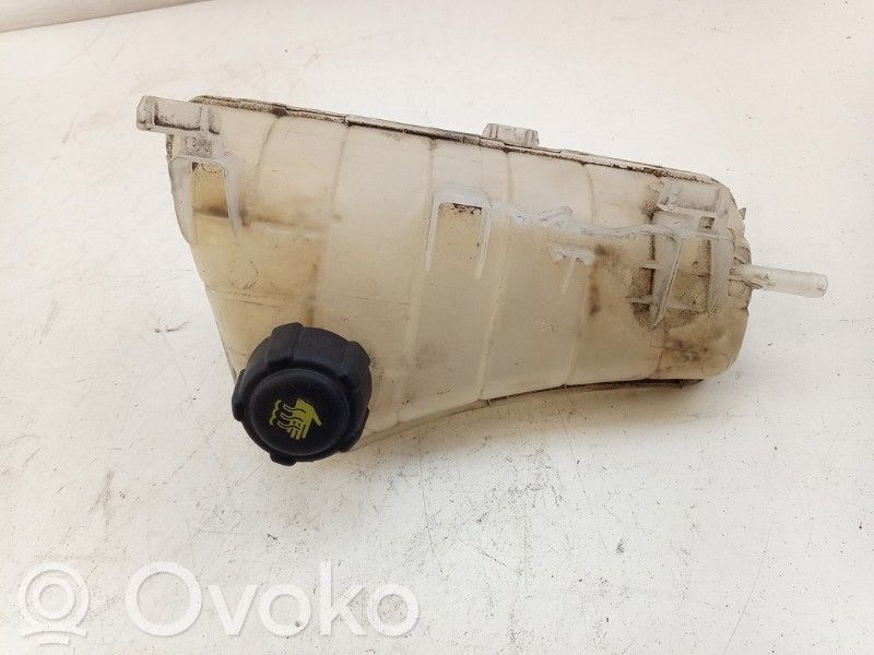 Mercedes-Benz Citan W415 Vas expansiune/rezervor lichid de răcire
