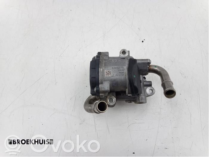 Skoda Superb B8 (3V) Valvola EGR