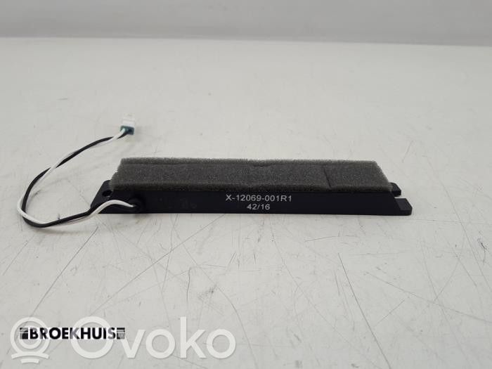 Tesla Model S Antenne des Keyless-Systems