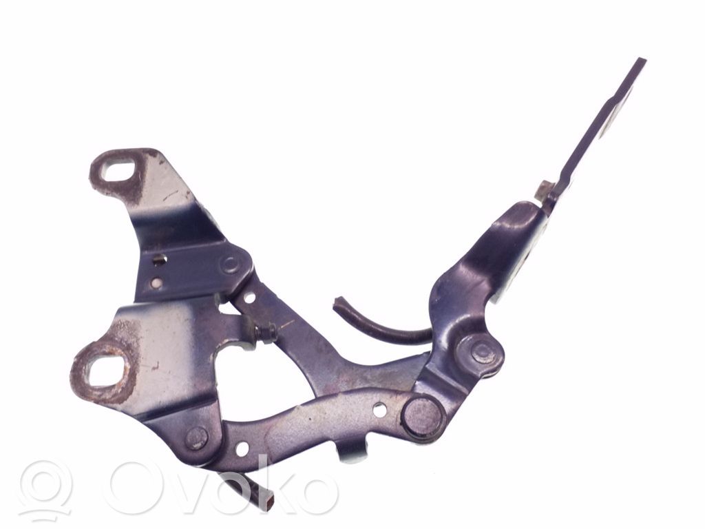 Engine bonnet/hood hinges   7115263