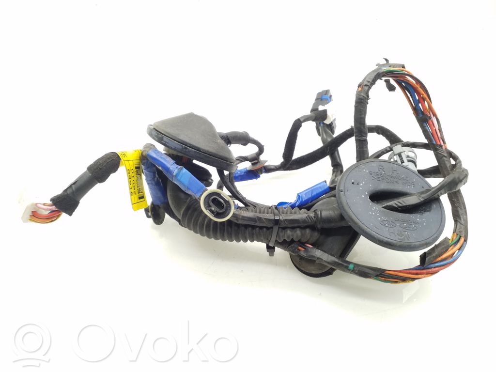 Hyundai Santa Fe Cableado de puerta trasera 