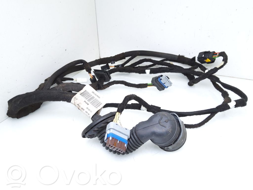 Citroen C5 Cableado de puerta delantera 