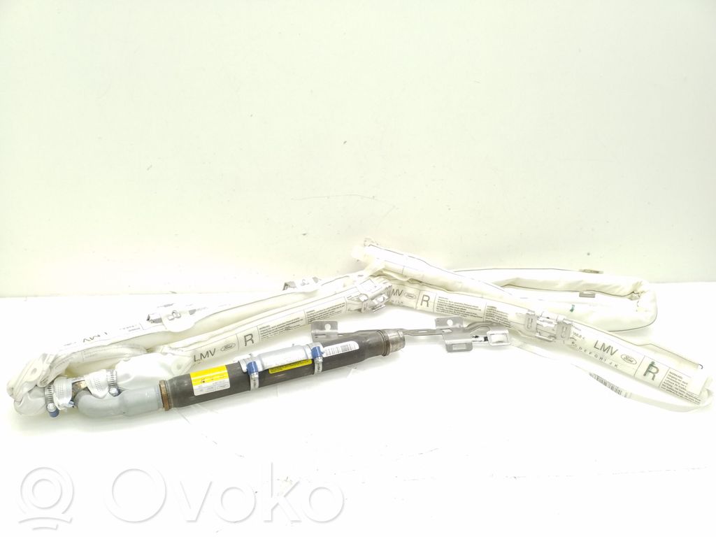 Ford S-MAX Airbag del techo 