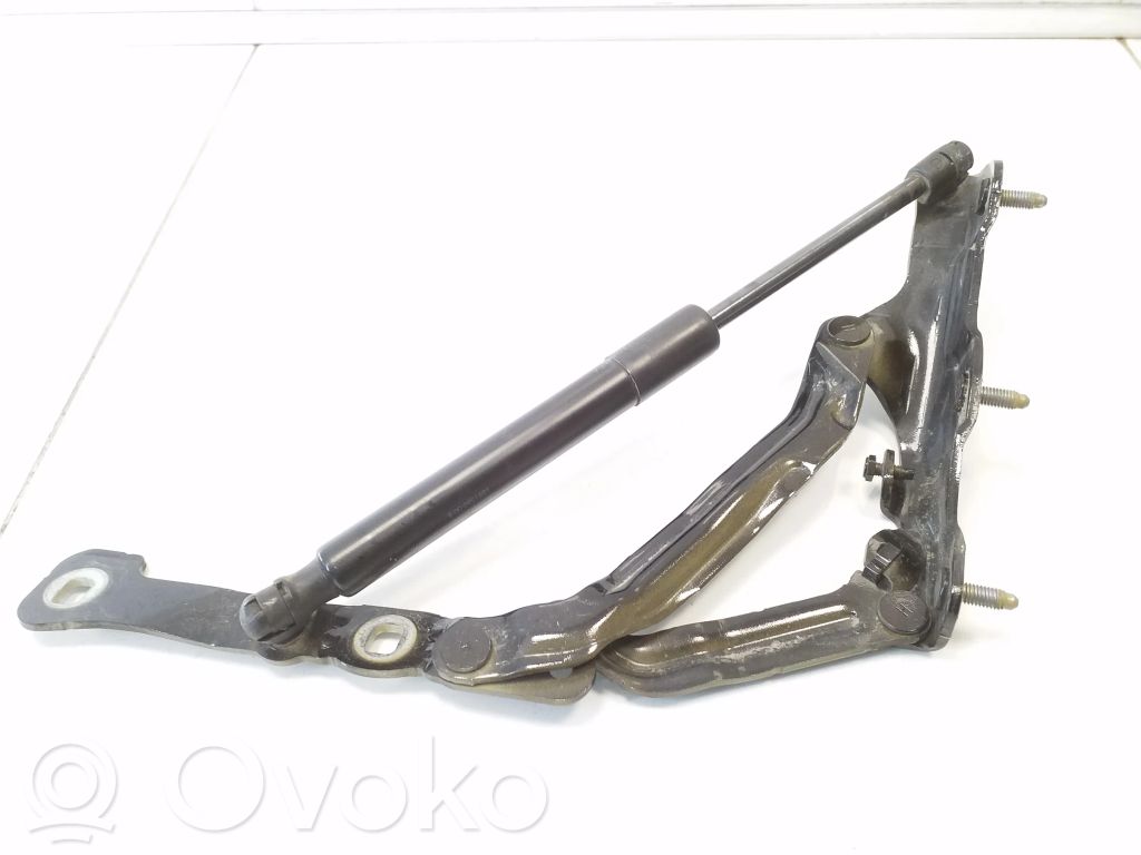 Tesla Model 3 Tailgate/trunk/boot hinge 