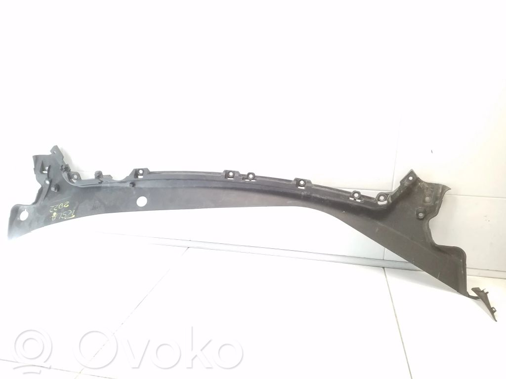 Tesla Model 3 Valytuvų apdaila (-os) 