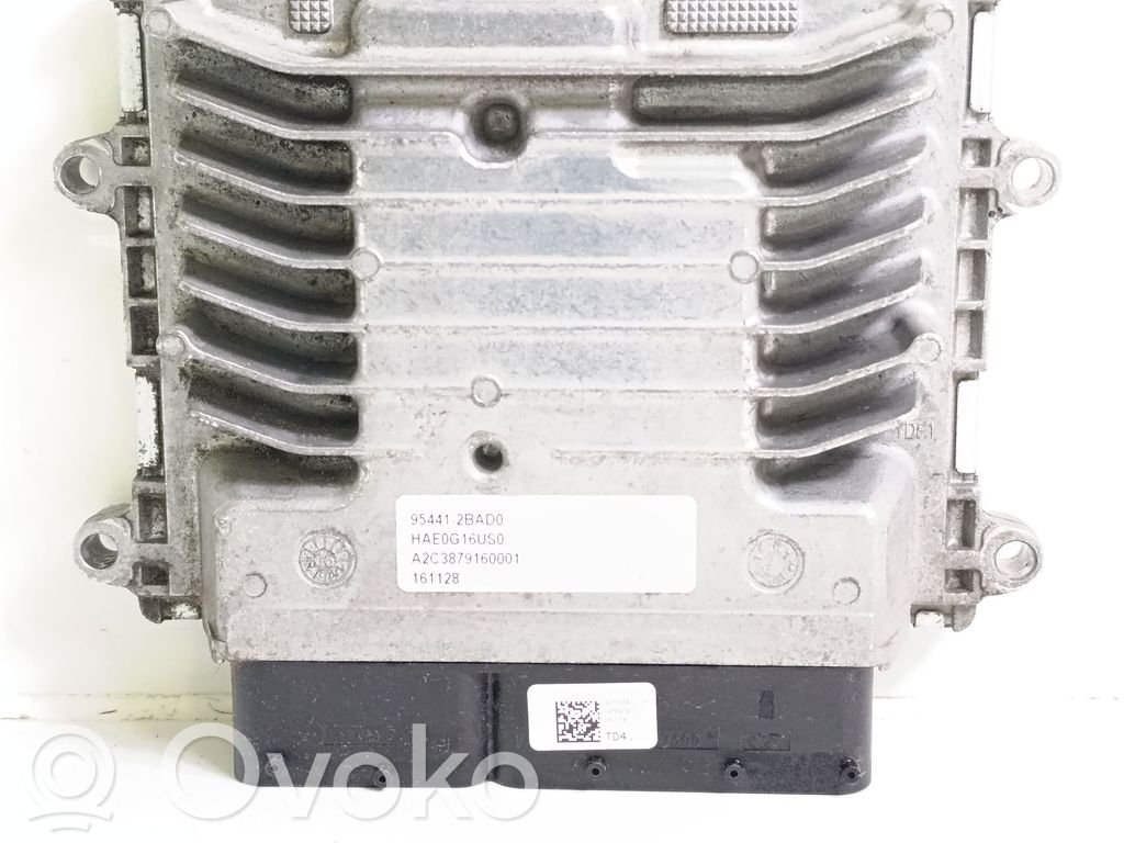 Engine control unit/module   954412BAD0