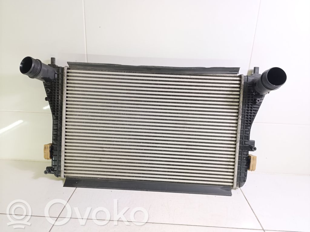 Volkswagen PASSAT B6 Interkūlerio radiatorius 