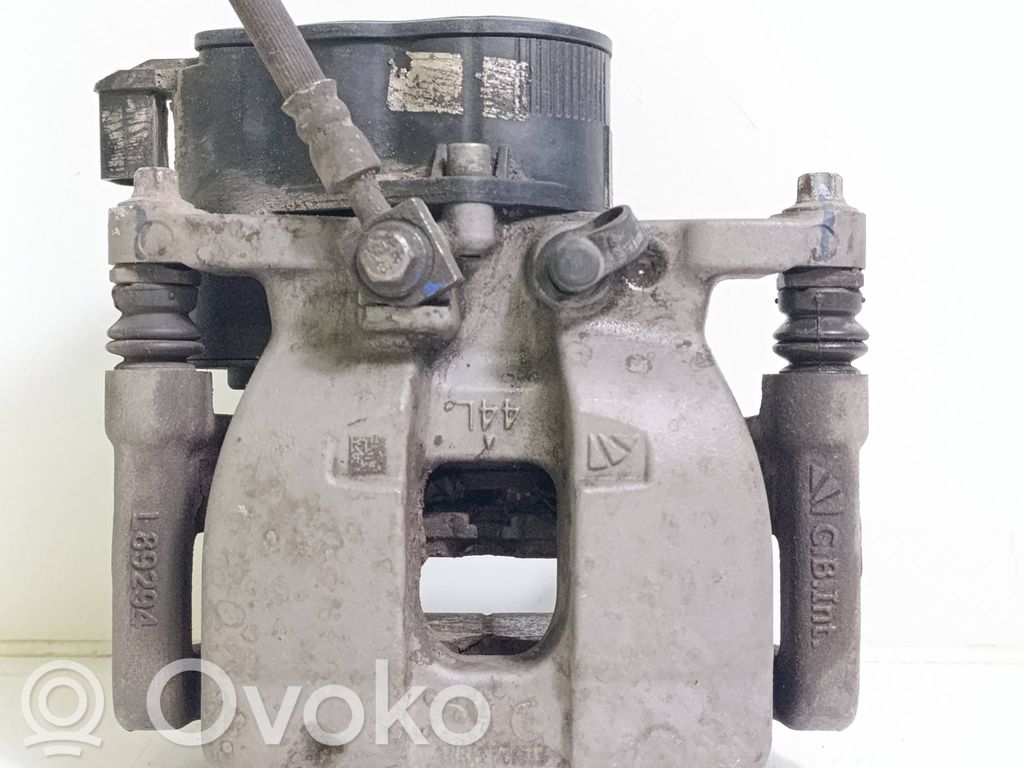 Takajarrusatula   L89294