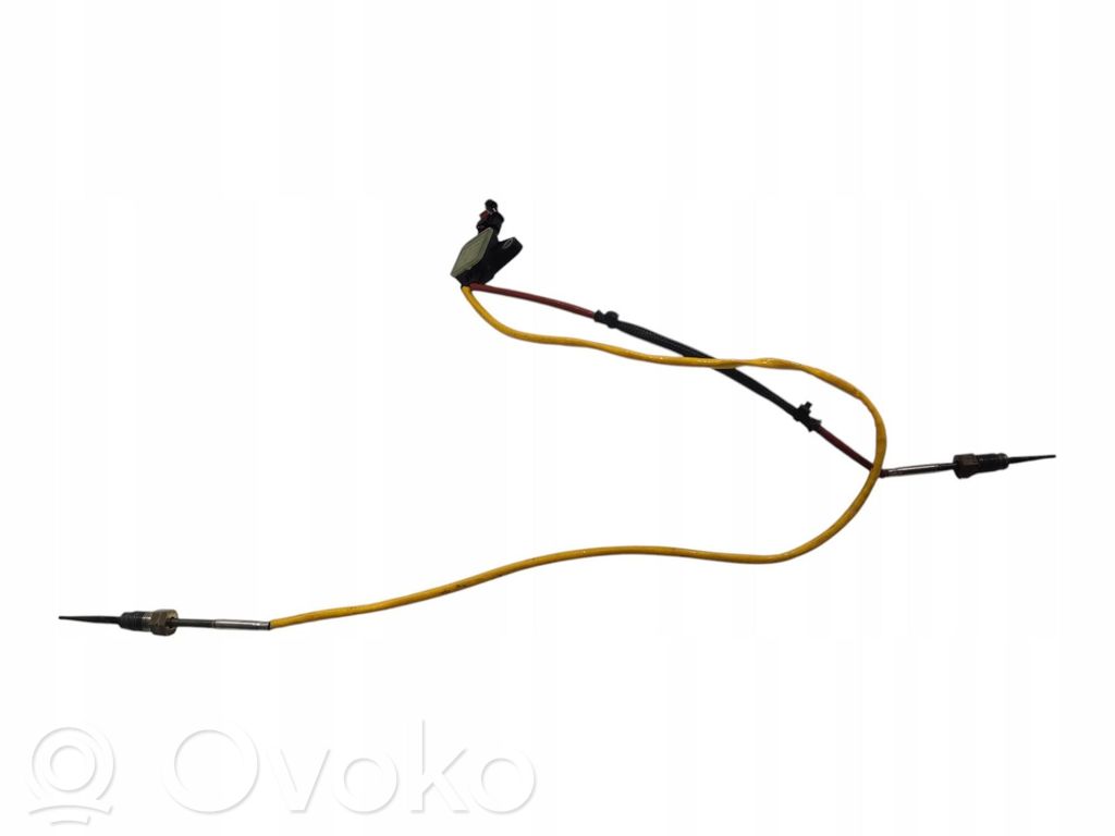 Abgastemperatursensor   165003299R