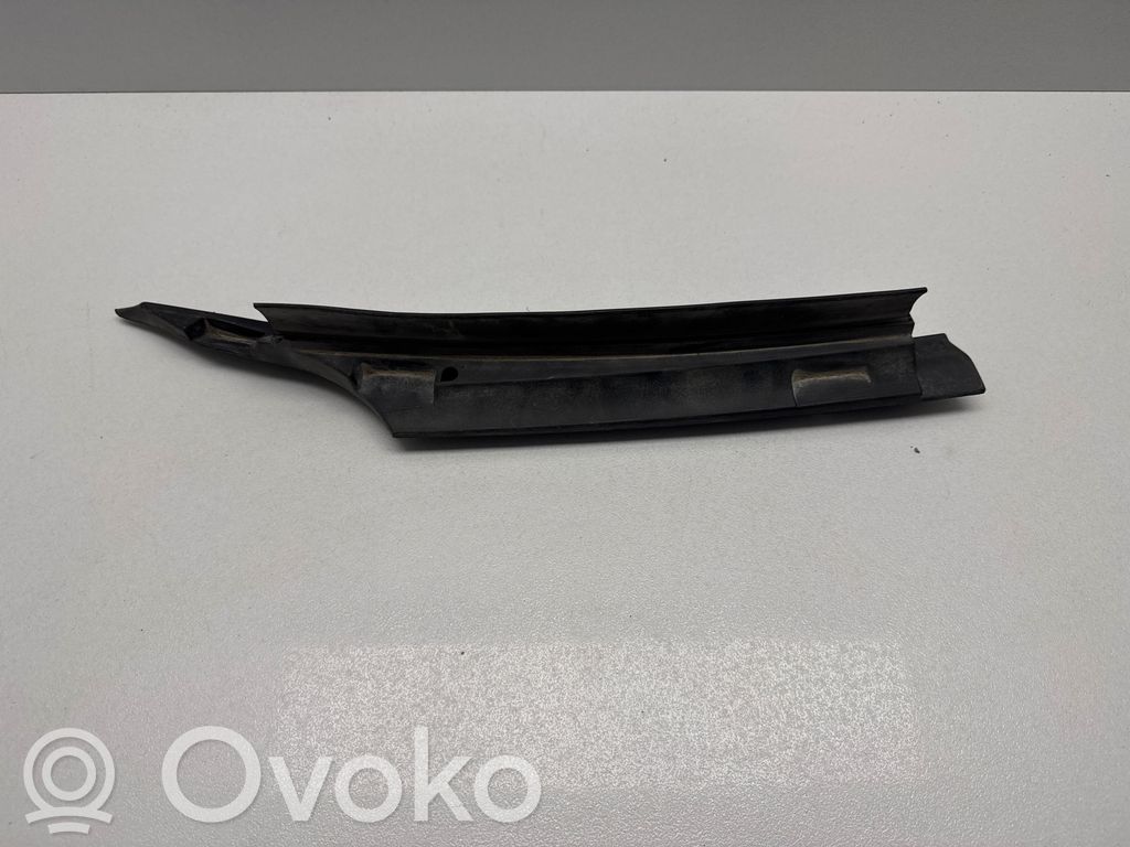 Tesla Model 3 Valytuvų apdaila (-os) 