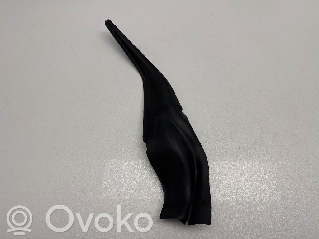 Chrysler Pacifica Windshield trim 