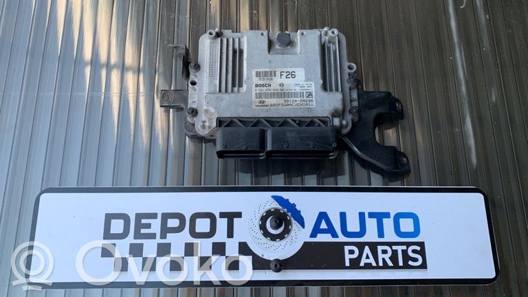Engine control unit/module ECU   391202A236,0281030600,D4FD