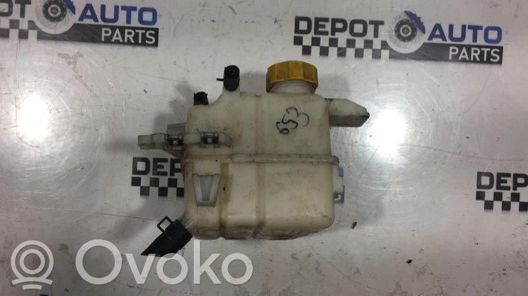 Opel Antara Aušinimo skysčio išsiplėtimo bakelis 