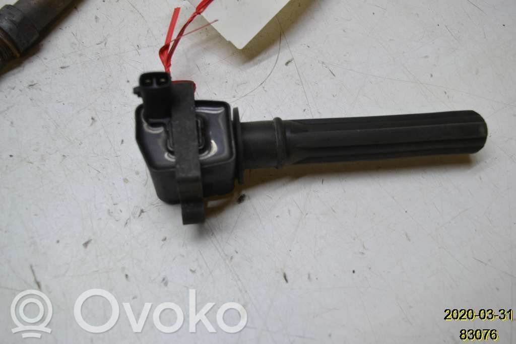 Aukštos įtampos ritė "babyna"   6102824