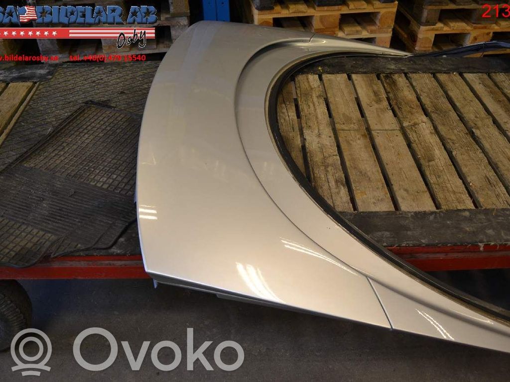Tailgate/trunk spoiler   16900301
