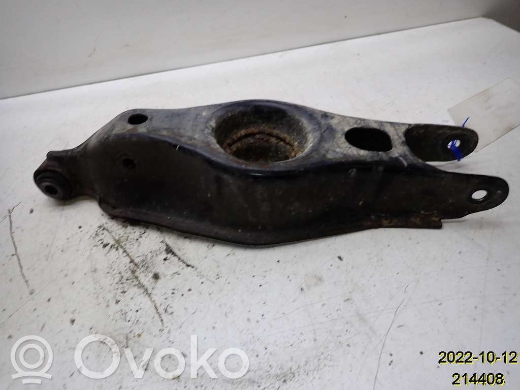 Rear control arm   51300139