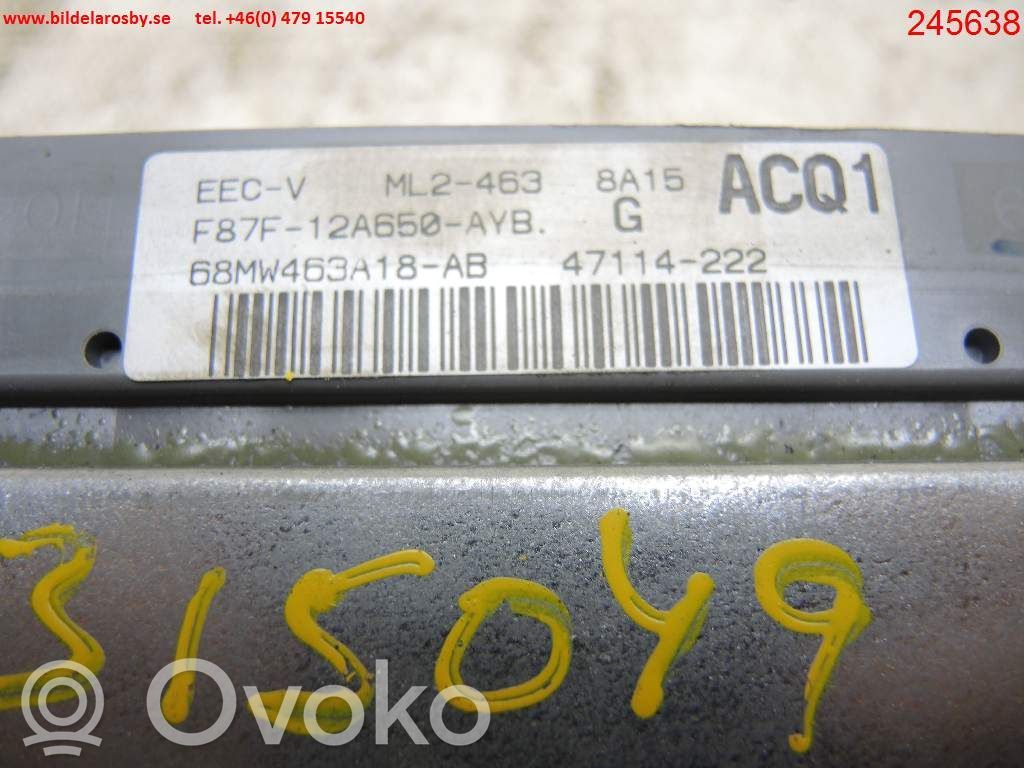 Įpurškimo valdymo blokas   F87F12A650AYB