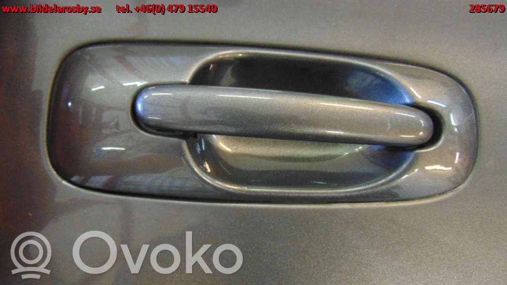 Durvis   12005566CR