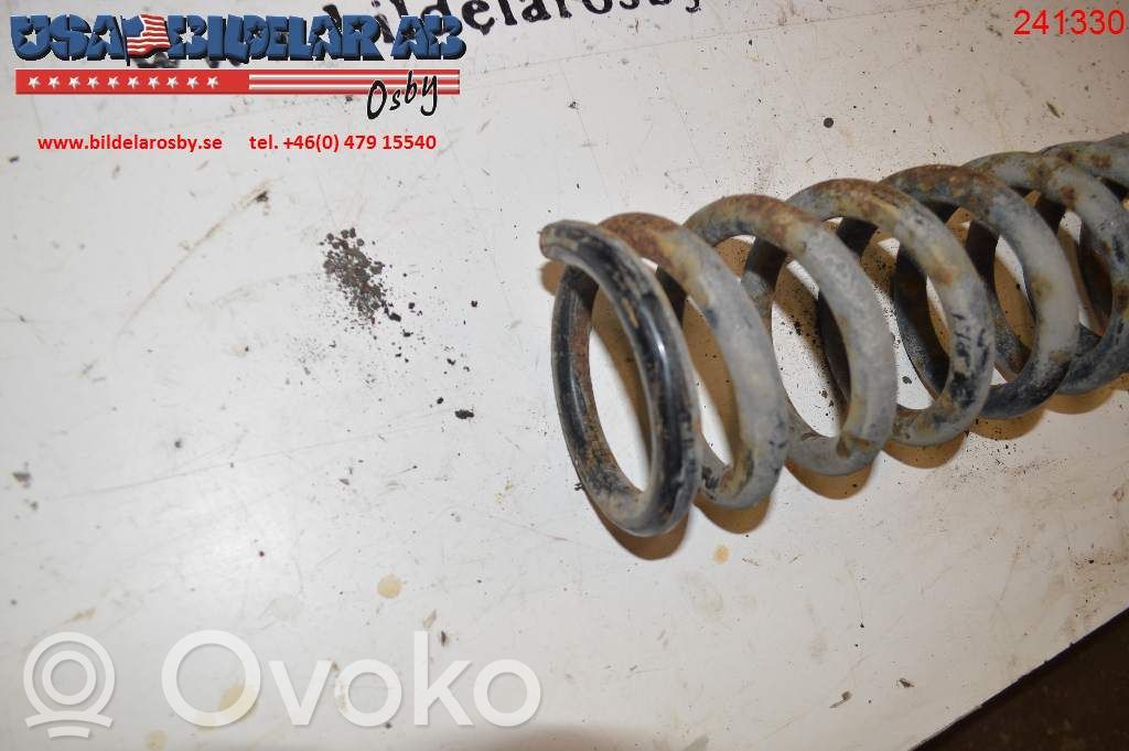 Rear coil spring   51700902