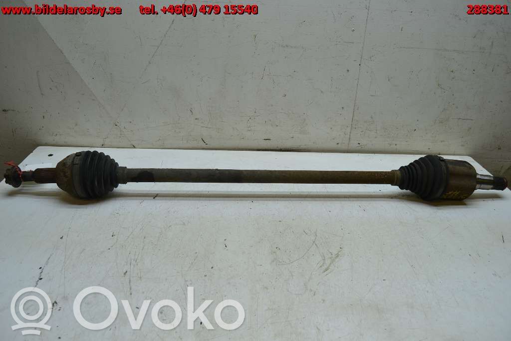 Priekinis pusašis   44700287R,26779489