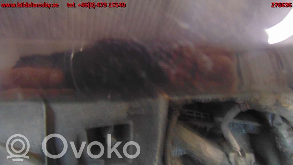 Dangtis variklio (kapotas)   11700346