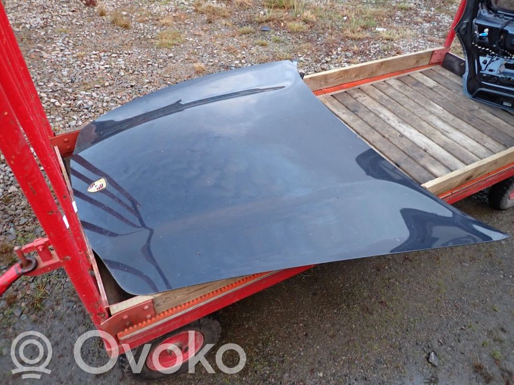 Dzinēja pārsegs (vāks)   11750331