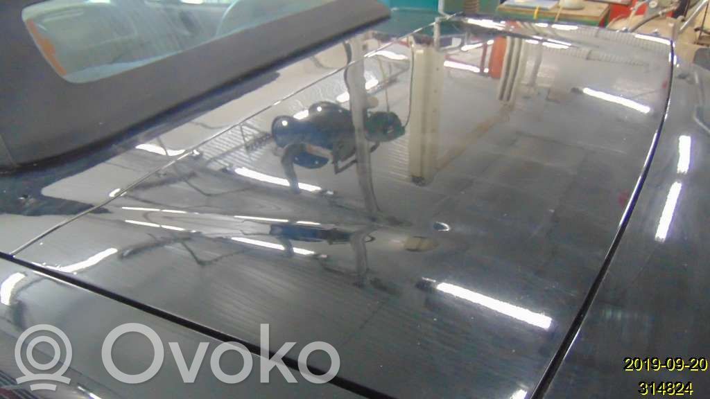 Tailgate/trunk/boot lid   17001803