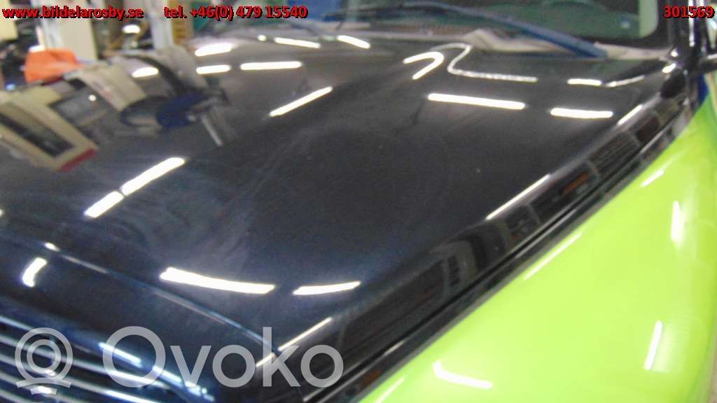 Engine bonnet/hood   11700315A