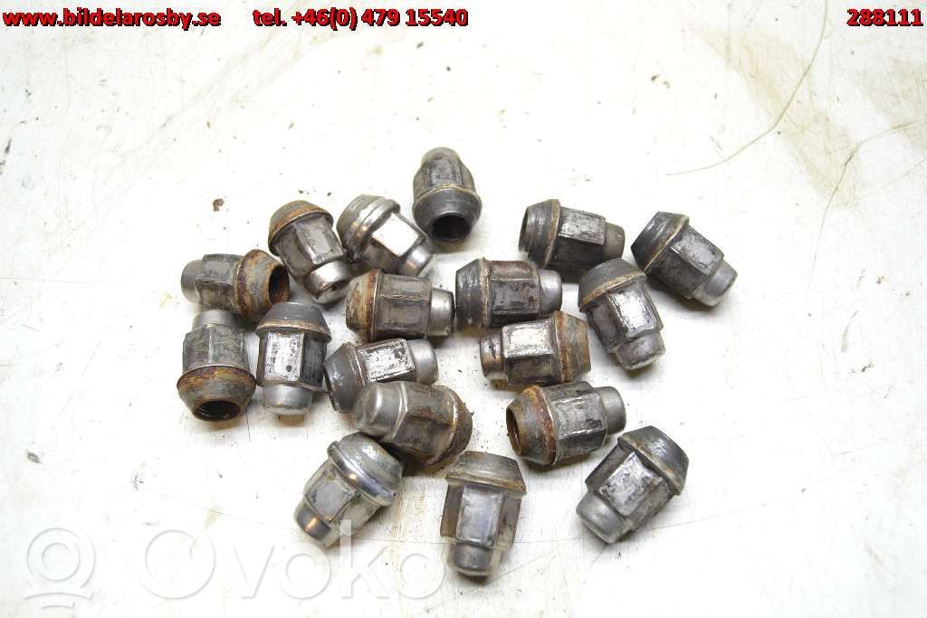 Nuts/bolts