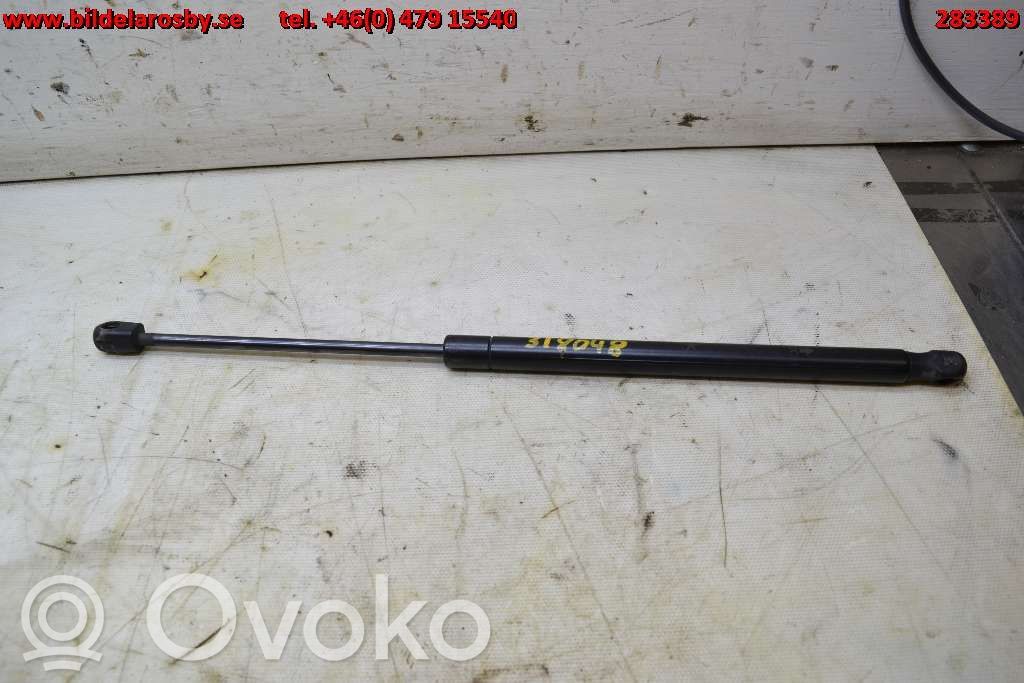 Tailgate strut   05160017AB