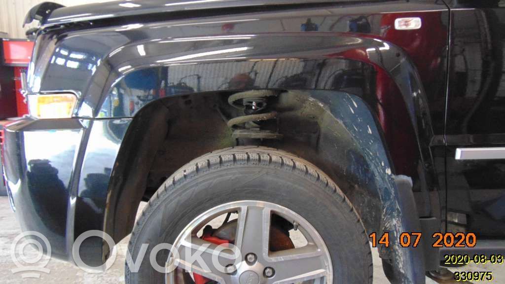 Guardabarro   5054355AA,11000670L