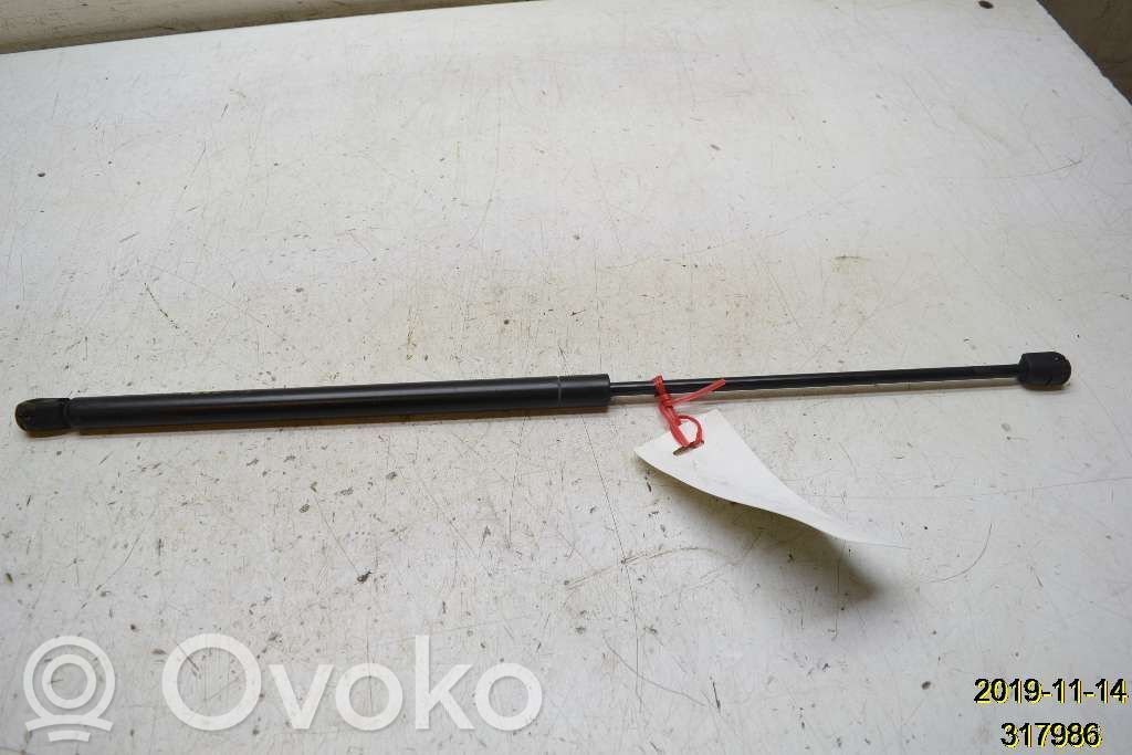 Konepellin kaasujousi   10293455