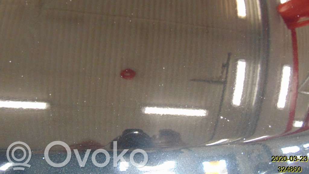 Dodge Journey Engine bonnet/hood 
