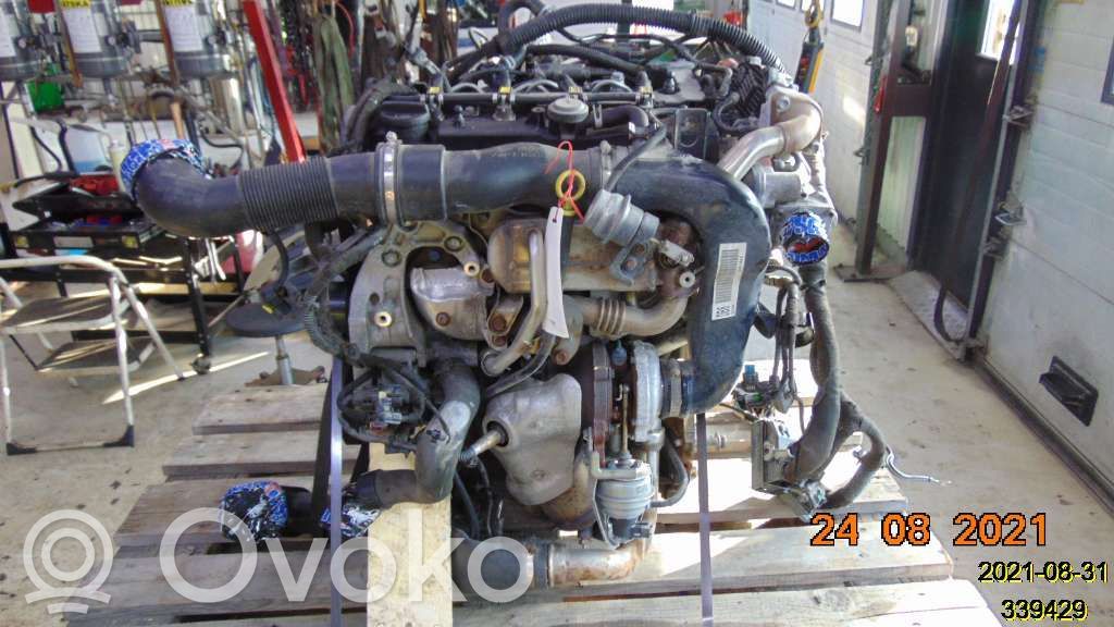 Engine   55584894