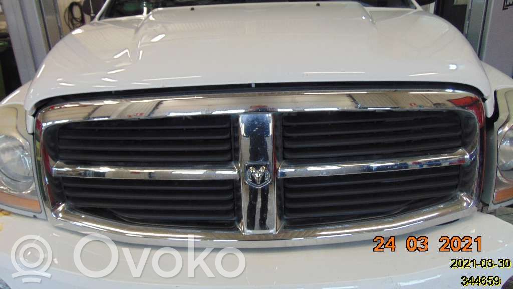 Dodge Durango Front bumper lower grill 