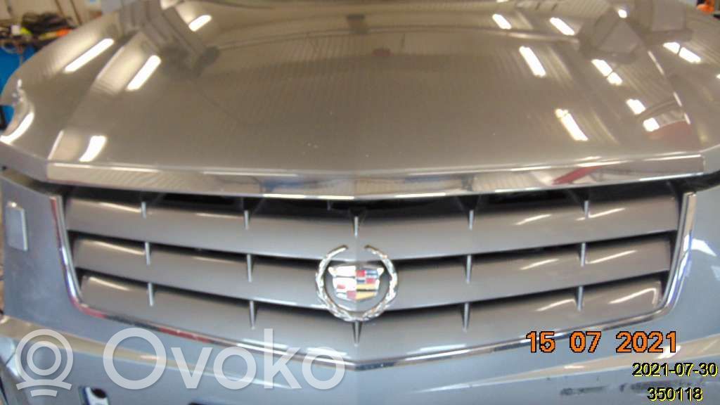 Cadillac SRX Front bumper lower grill 