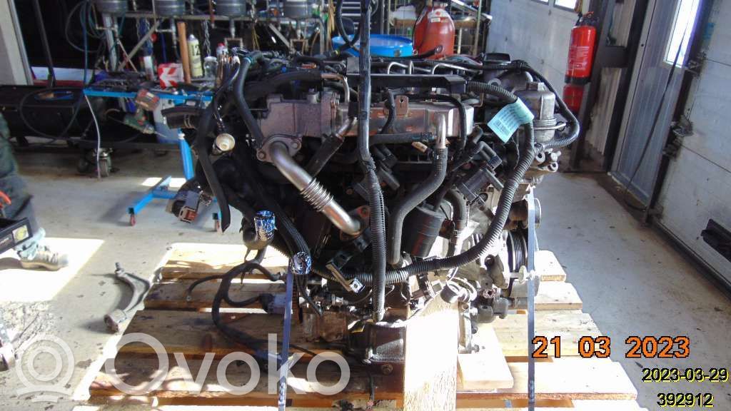 Engine   25196685