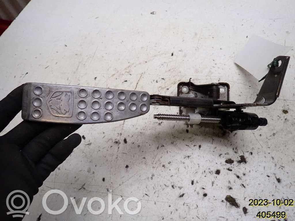 Akceleratoriaus pedalas   5102047AA